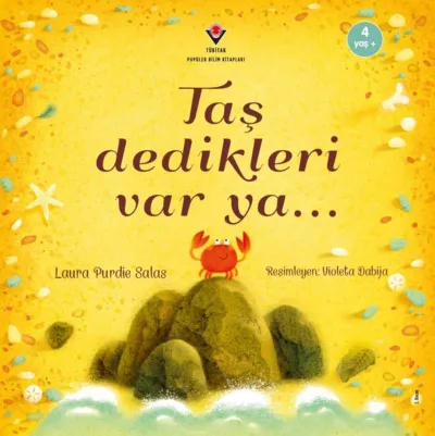 Taş Dedikleri Var Ya...   
