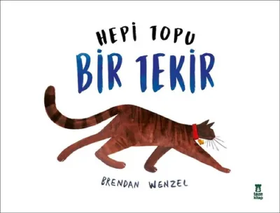 Hepi Topu Bir Tekir    