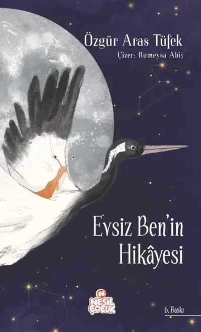 Evsiz Ben'in Hikâyesi   