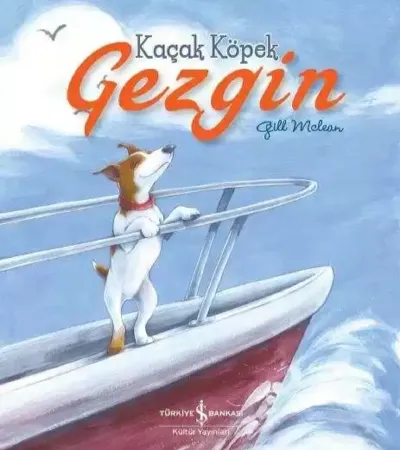 Kaçak Köpek Gezgin  