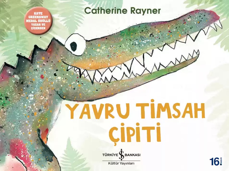 Yavru Timsah Çipiti  