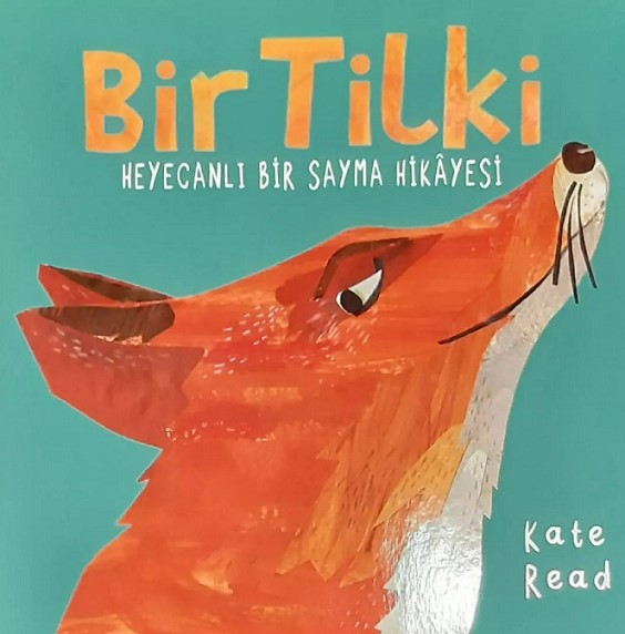 Bir Tilki Heyecanlı Bir Sayma Hikâyesi